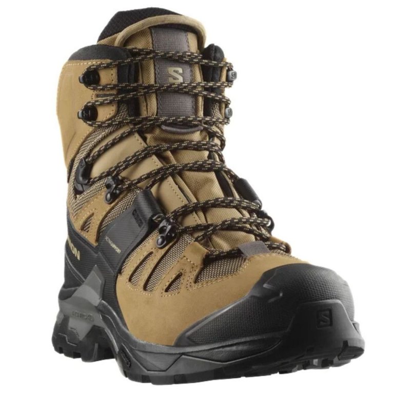 Черевики Salomon Quest 4 GTX M - коричнево/чорні