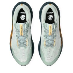 Кросівки Asics Novablast 5 TR M - сині