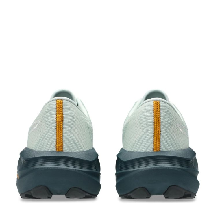Кросівки Asics Novablast 5 TR M - сині