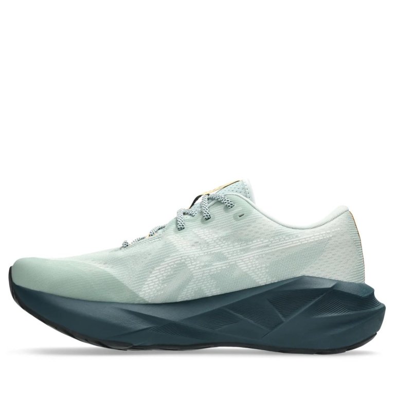 Кросівки Asics Novablast 5 TR M - сині