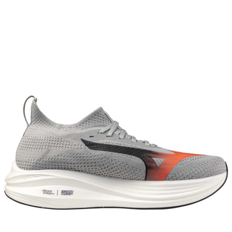 Кросівки Mizuno Neo Zen M - сіро/сріблясті
