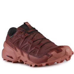 Взуття Salomon Speedcross 6 GTX W - червоний