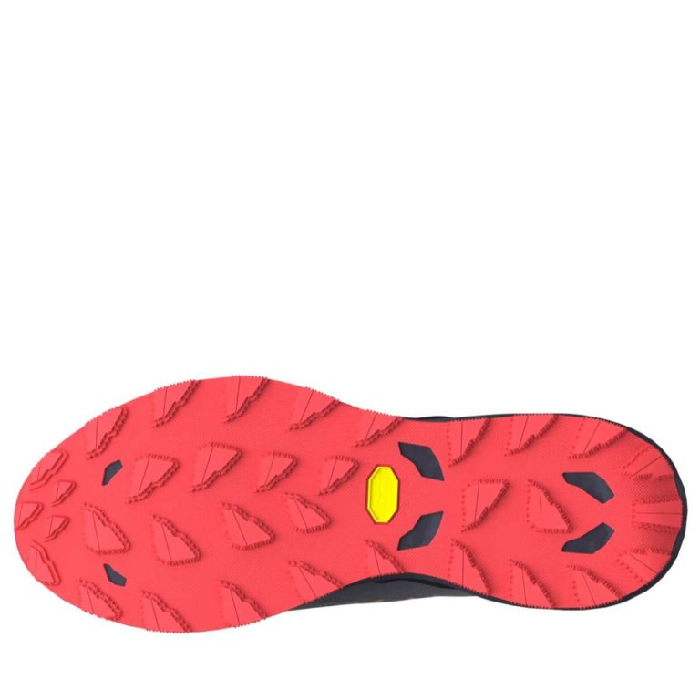 Кросівки Mizuno Wave Daichi 9 M - сині