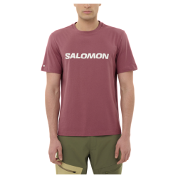 Футболка Salomon Logo SS Tee M - рожева
