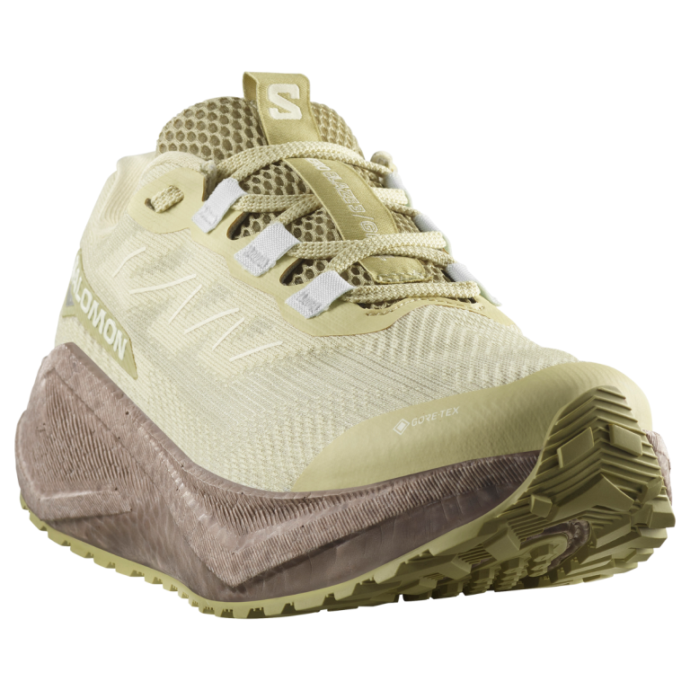 Кросівки Salomon Aero Blaze 3 Grvl GTX W - зелено/коричнево/білі