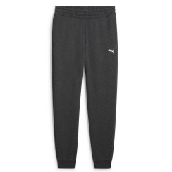 Штани Puma ESS Sweatants FL CL M - сірі