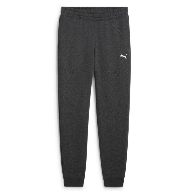 Штани Puma ESS Sweatants FL CL M - сірі
