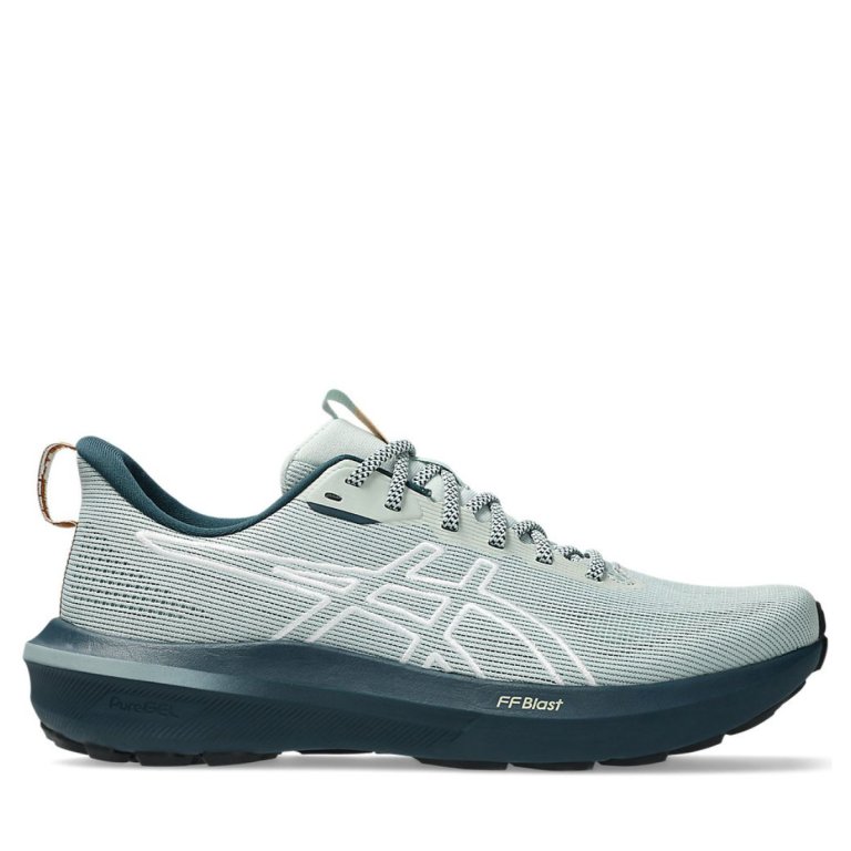 Кросівки Asics GT-1000 14 TR M - сірі