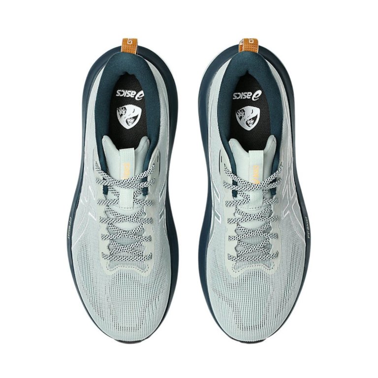 Кросівки Asics GT-1000 14 TR M - сірі