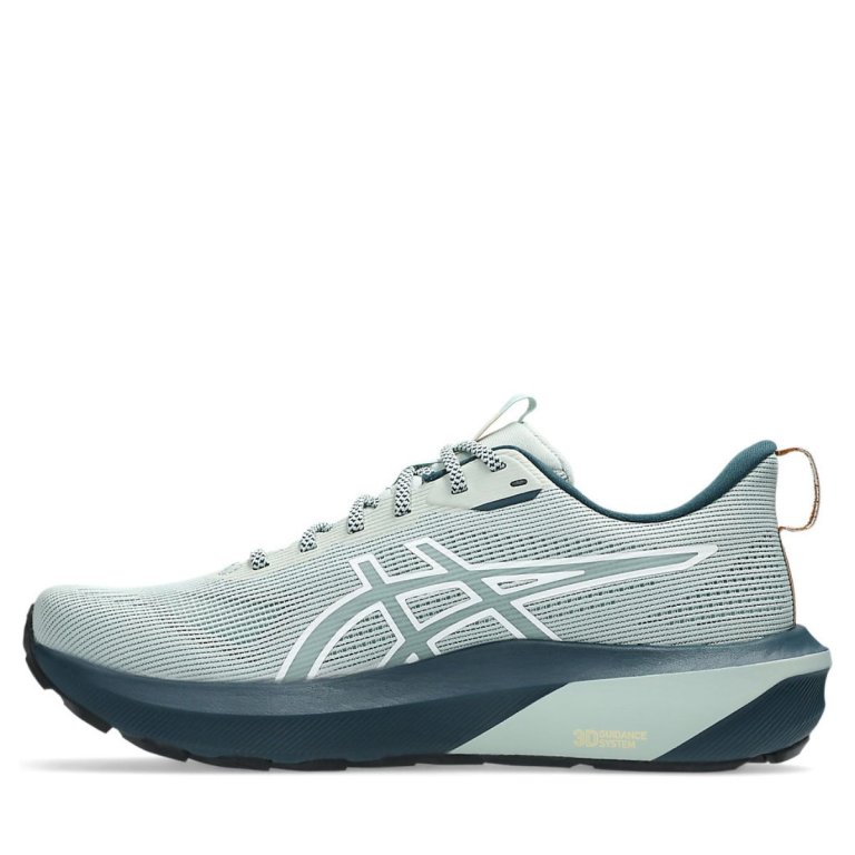 Кросівки Asics GT-1000 14 TR M - сірі