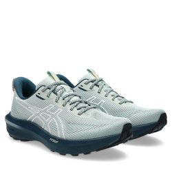 Кросівки Asics GT-1000 14 TR M - сірі