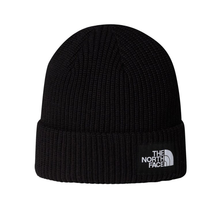 Čepice The North Face Salty Lined Beanie - černá