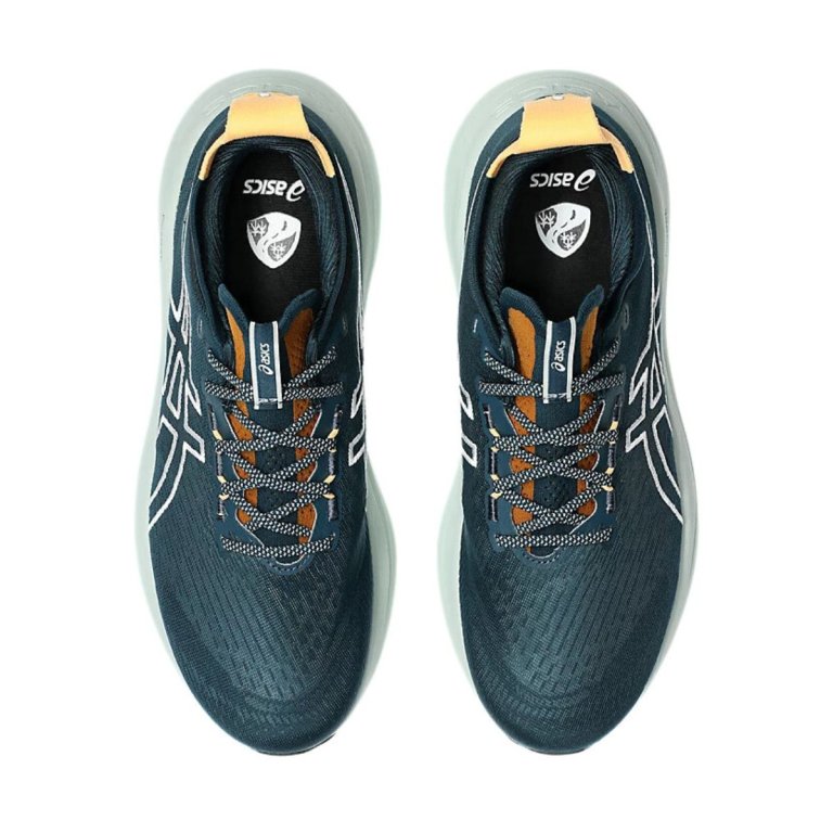 Кросівки Asics Gel-Nimbus 27 TR M - темно-сині