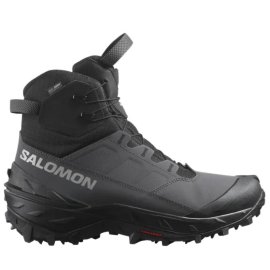 sal2