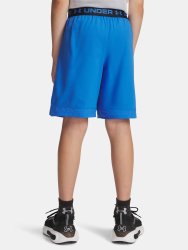 Шорти Under Armour Vanish Shorts Jr Blue
