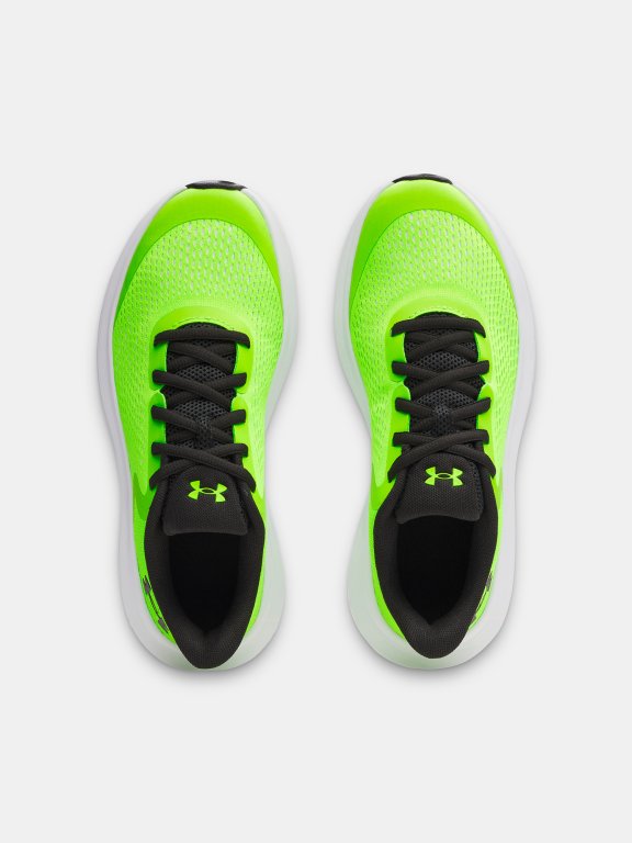 Кросівки Under Armour BGS Rogue 5 Jr Green