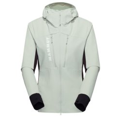 ss1