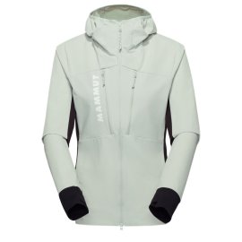 ss1