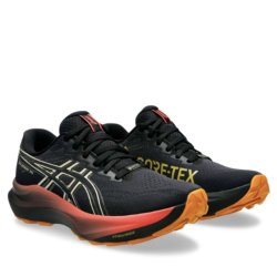 Кросівки Asics GT-2000 14 GTX W - чорні