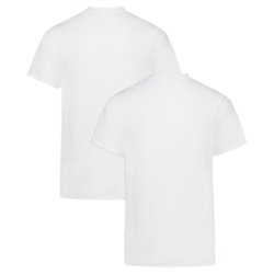 Футболка Under Armour UA Perf Tech Mesh Crew 2pk M - біла
