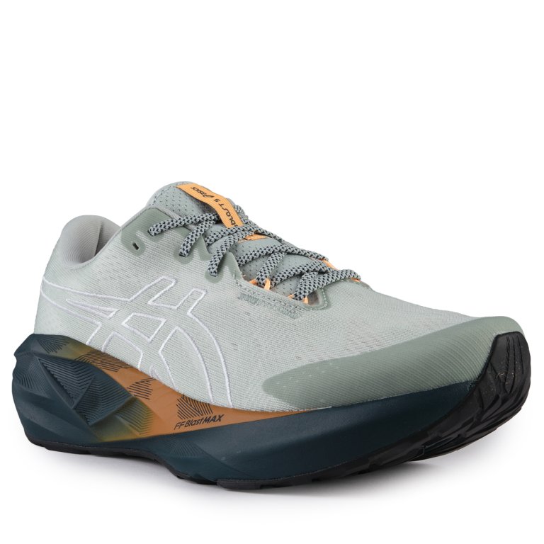 Кросівки Asics Novablast 5 TR M - сині