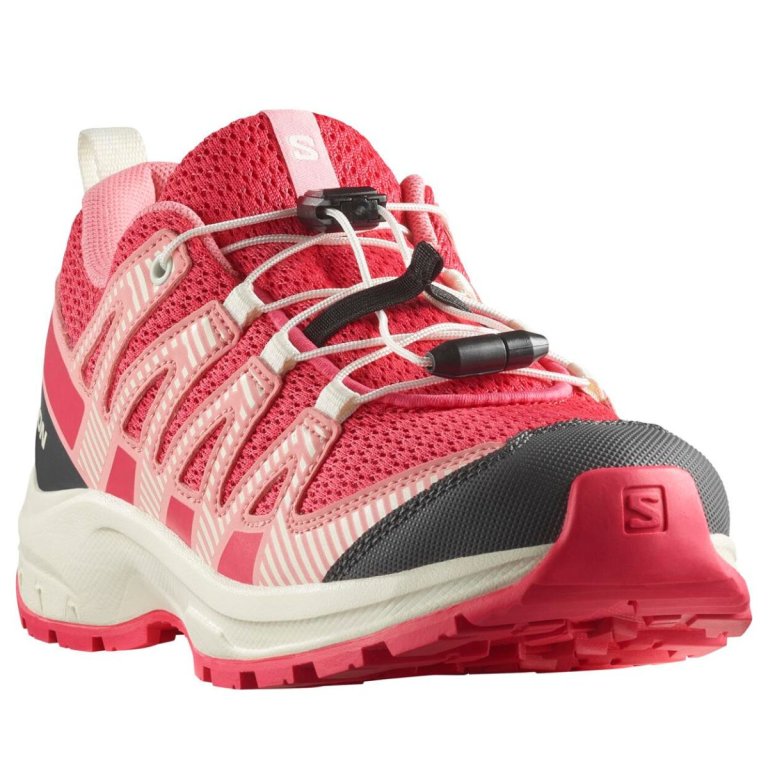 Черевики Salomon Xa Pro V8 J - червоні