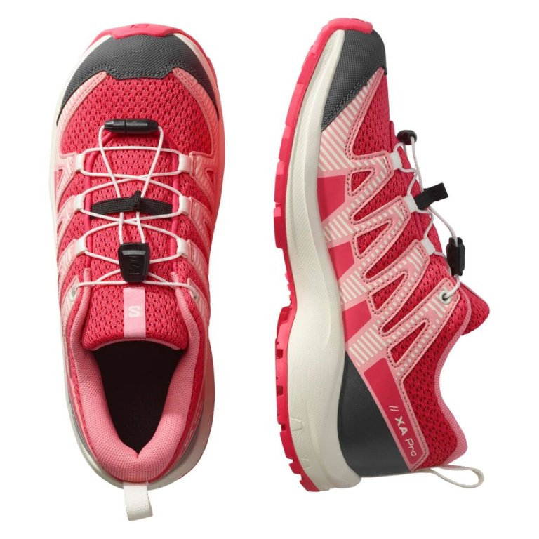 Черевики Salomon Xa Pro V8 J - червоні