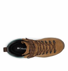 Черевики Columbia Newton Alpine PT™ M - коричневі