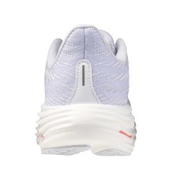 Кросівки Mizuno Wave Rider 29 W - синьо/білі