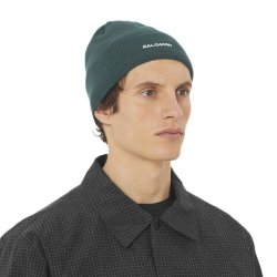 Шапка Salomon Beanie - зелена