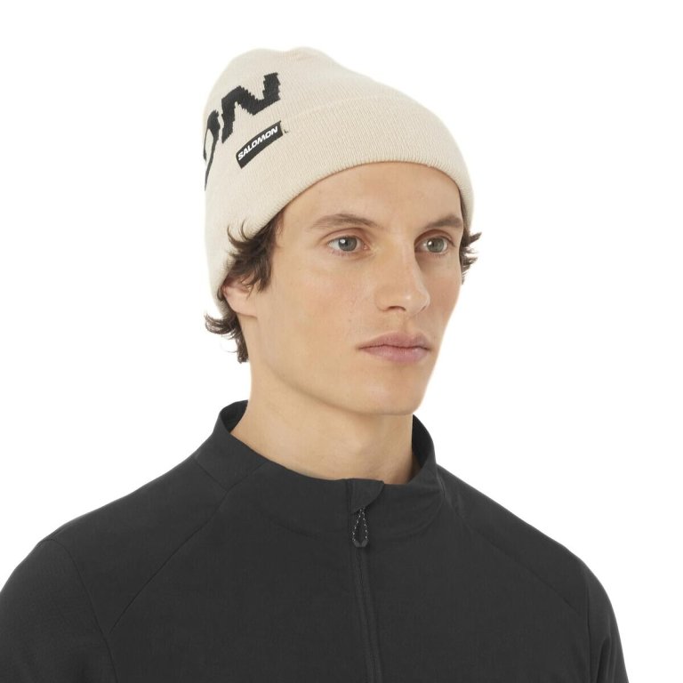 Шапка Salomon Hermitage Beanie - бежева