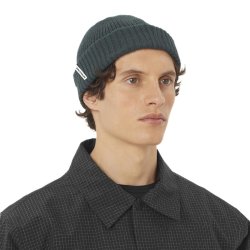 Шапка Salomon Docker Beanie - зелена