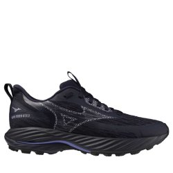 Кросівки Mizuno Wave Rider GTX 3 W - сині