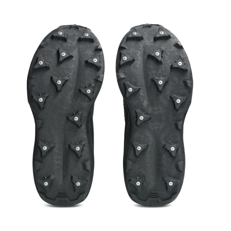 Кросівки Asics Fujisetsu Max GTX M - чорно/сині