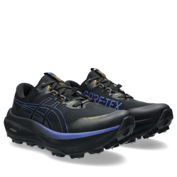 Кросівки Asics Fujisetsu Max GTX M - чорно/сині