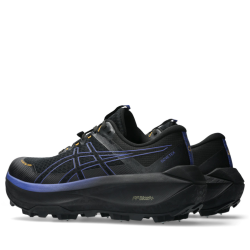 Кросівки Asics Fujisetsu Max GTX M - чорно/сині