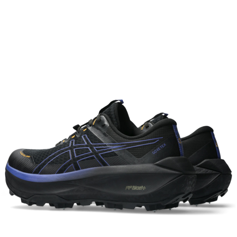 Кросівки Asics Fujisetsu Max GTX M - чорно/сині