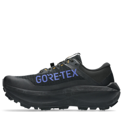 Кросівки Asics Fujisetsu Max GTX M - чорно/сині
