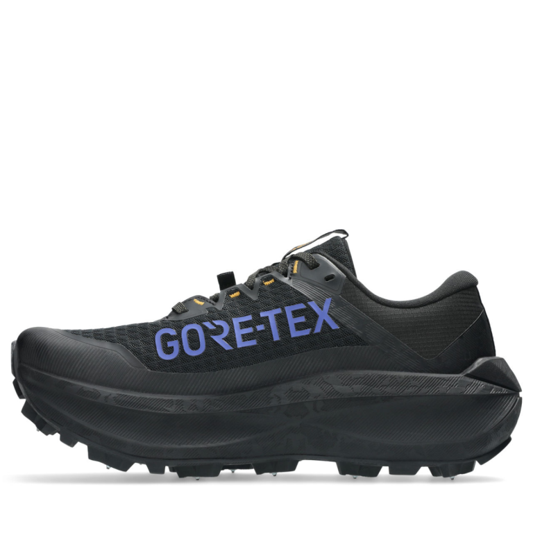 Кросівки Asics Fujisetsu Max GTX M - чорно/сині