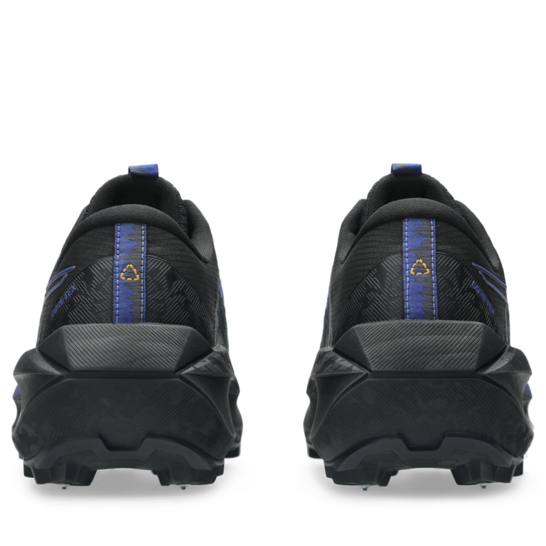 Кросівки Asics Fujisetsu Max GTX M - чорно/сині