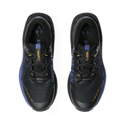 Кросівки Asics Fujisetsu Max GTX M - чорно/сині