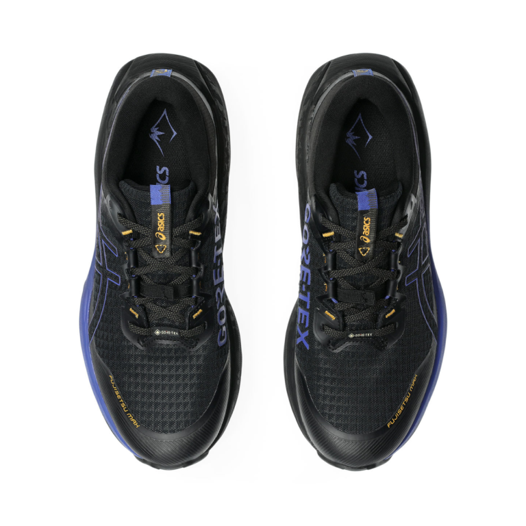 Кросівки Asics Fujisetsu Max GTX M - чорно/сині