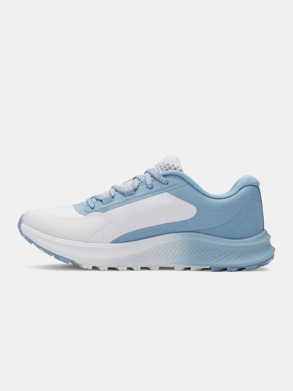 Кросівки Under Armour Charged Bandit Tr 3 Wmn Grey