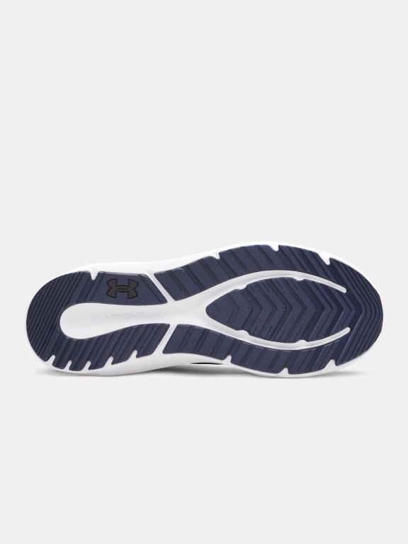 Кросівки Under Armour Charged Pursuit 4 BL Man Blue