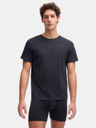 Футболка Under Armour Perf Cotton Crew Neck-2Pk