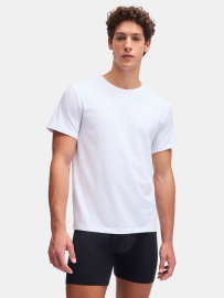 e60ede3f-295b-4a40-80d8-90b3e186c07a93839385c0a3d5fea42ab6d1e0767e33-569953.png