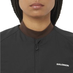 Жилет Salomon Mountain Flex Hybrid Vest W - чорний