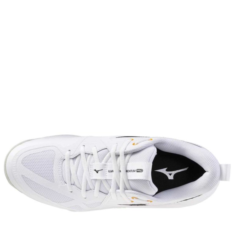 Кросівки Mizuno Wave Momentum Pro - біло/чорні