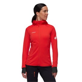 Mammut