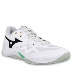 Кросівки Mizuno Wave Momentum Pro - біло/чорні
